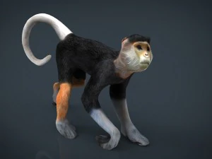 monkey 3D Model