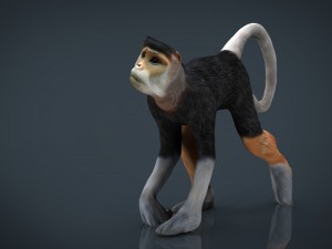 monkey Modello 3D