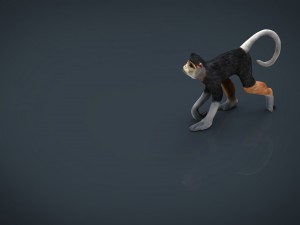 monkey Modello 3D