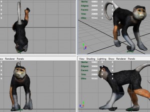 monkey Modello 3D