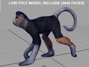 monkey Modello 3D
