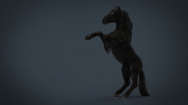 black horse 3D-Modell .c4d .max .obj .3ds .fbx .stl .blend 
