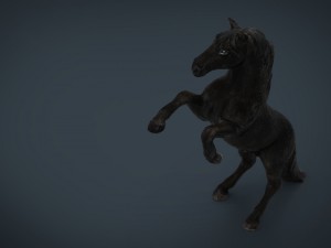 black horse 3D-Modell