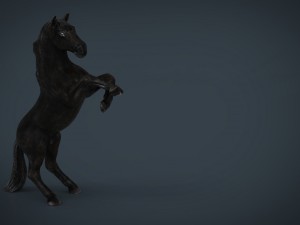 black horse 3D-Modell