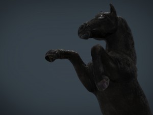 black horse 3D-Modell
