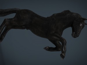 black horse 3D-Modell