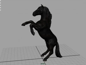 black horse 3D Model