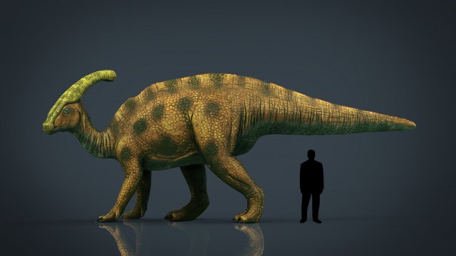 tsintaosaurus Modello 3D .c4d .max .obj .3ds .fbx .stl .blend 
