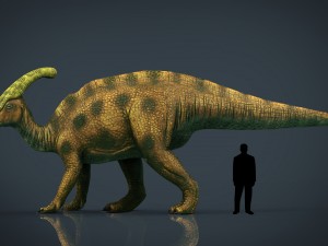 tsintaosaurus 3D Model
