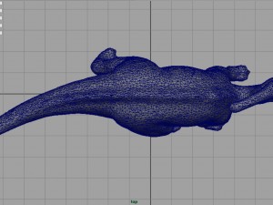 tsintaosaurus Modello 3D