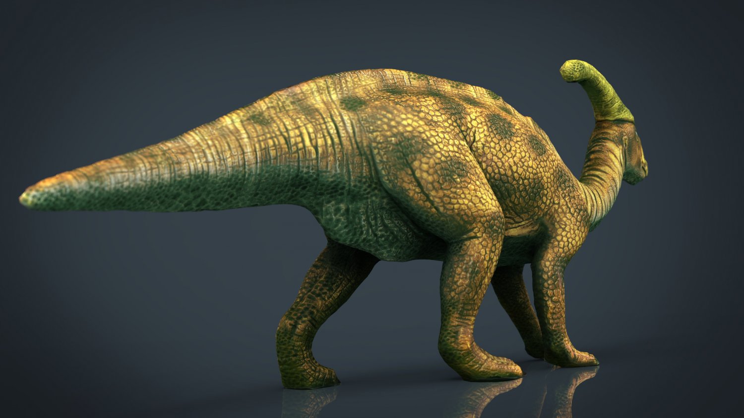 Динозавр 3д. Tsintaosaurus. Циньтаозавр. Циньтаозавр динозавр