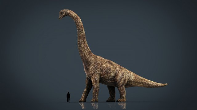 brachiosaurus 3D 모델 .c4d .max .obj .3ds .fbx .stl .blend 