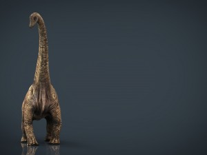 brachiosaurus 3D 모델
