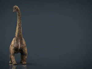 brachiosaurus 3D Model