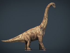 brachiosaurus 3D 모델