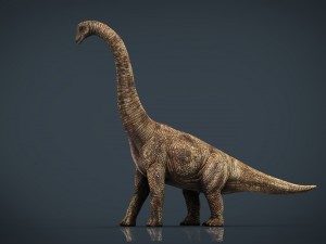 brachiosaurus 3D 모델