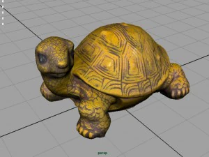 tartaruga Modello 3D