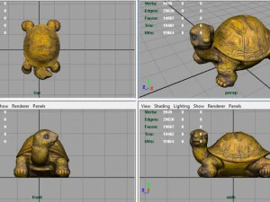 tartaruga Modello 3D