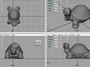 turtle Modelo 3D