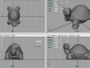 tartaruga Modello 3D
