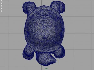 tartaruga Modello 3D