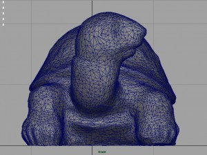 turtle Modelo 3D