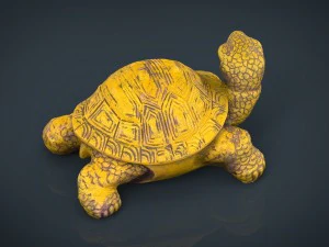 tartaruga Modello 3D