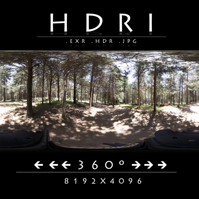 hdr 12 the forest CG Textures .c4d .max .obj .3ds .fbx .stl .blend 