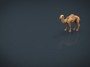 camel 2 3D मॉडल