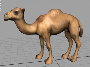 camel 2 3D मॉडल