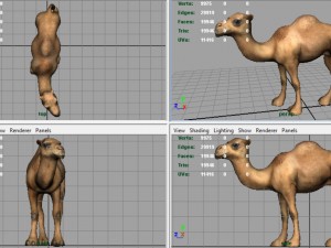 camel 2 3D मॉडल