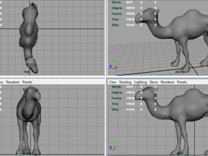 camel 2 3D मॉडल