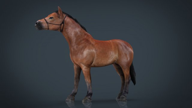 horse 2 Modelo 3D .c4d .max .obj .3ds .fbx .stl .blend 