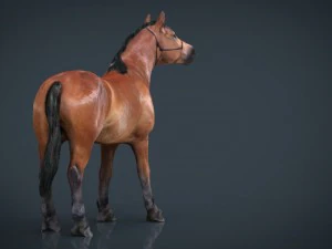 horse 2 3D Model
