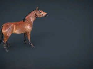 horse 2 3D Model