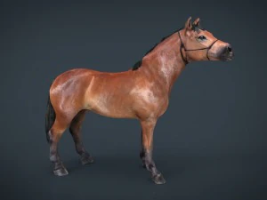 horse 2 3D Model