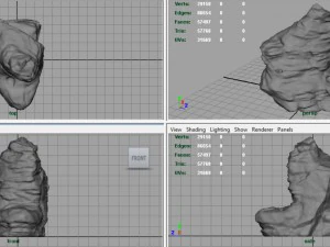 rock 28 3D Model