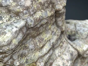 rock 28 3D Model