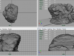 rock 29 3D Model