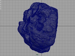 rock 29 3D Model