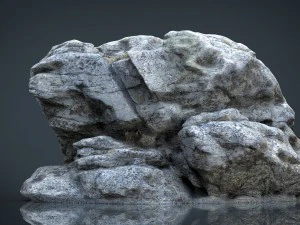 rock 29 3D Model