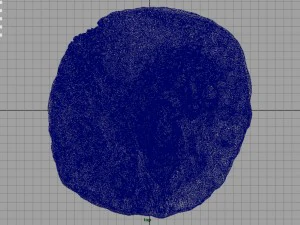 rock 30 3D Model