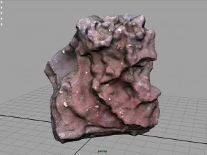 arenaria ferruginosa Modello 3D