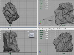 arenaria ferruginosa Modello 3D