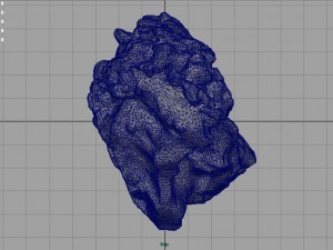 sandstone ferruginosa 3D Model