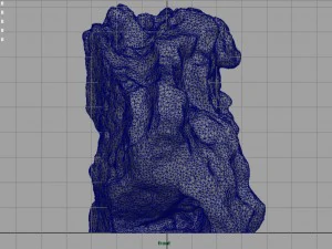 arenaria ferruginosa Modello 3D