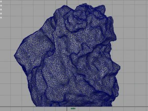 arenaria ferruginosa Modello 3D