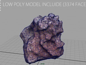 sandstone ferruginosa 3D Model