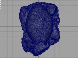 spanish jar 3D 模型