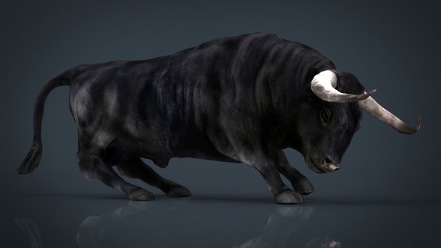 spanish bull 3D Модель .c4d .max .obj .3ds .fbx .stl .blend 